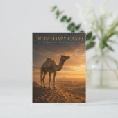 Dromedar-Kamel-Wüsten-Dünen TIERE Postkarte (Stehend Vorderseite)