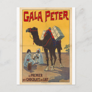 Dromedar-Postkarte im antiken Stil Postkarte