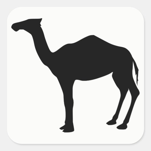 Dromedar-Silhouette Quadratischer Aufkleber (Vorderseite)