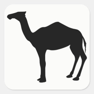 Dromedar-Silhouette Quadratischer Aufkleber