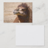 Dromedar - Visitenkarte (Vorne/Hinten)