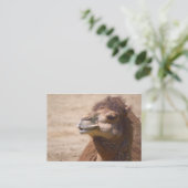 Dromedar - Visitenkarte (Stehend Vorderseite)