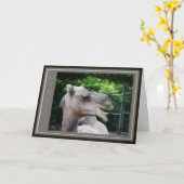 Dromedar-Wildlife Karte (Gelbe Blume)