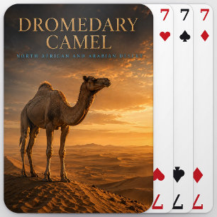 Dromedar Wüsten Dünen TIERE Poker Spielkarten