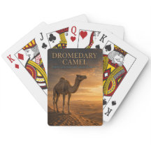 Dromedar Wüsten Dünen TIERE Poker