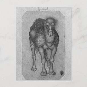 Dromedary aus dem Vallardi-Album Postkarte