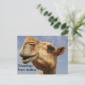 Dromedary camel postkarte (Stehend Vorderseite)
