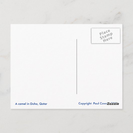 Dromedary camel postkarte (Rückseite)