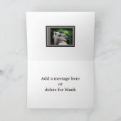 Dromedary Camel Wildlife Karte (Innenseite)