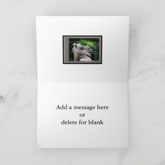 Dromedary Camel Wildlife Karte (Innenseite)