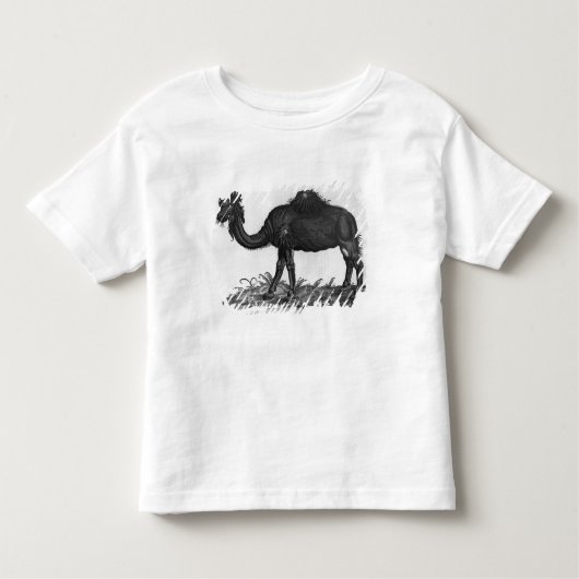 Dromedary, von 'Historial Animalium Kleinkind T-shirt (Vorderseite)