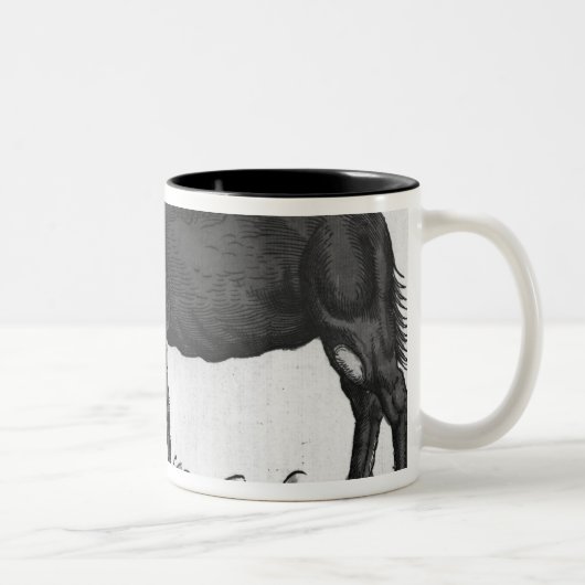 Dromedary, von 'Historial Animalium Zweifarbige Tasse (Rechts)