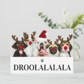 Droolalala Hund Weihnachten 5 Foto-Karte Einladung (Stehend Vorderseite)
