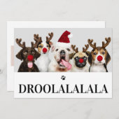 Droolalala Hund Weihnachten 5 Foto-Karte Einladung (Vorne/Hinten)