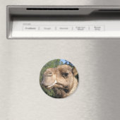 Drooling Camel Magnet (In Situ (Geschirrspüler))