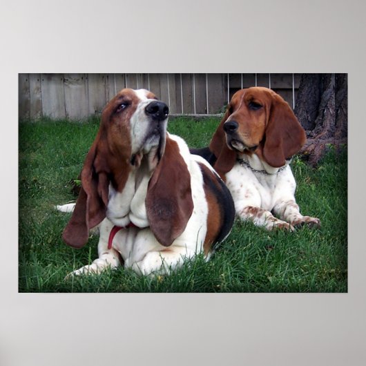 Droopee und Saggy Poster (Vorne)