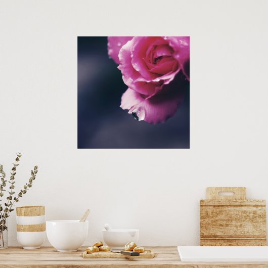 Drop auf rosa Rose Macro Abstrakt Poster (Küche)