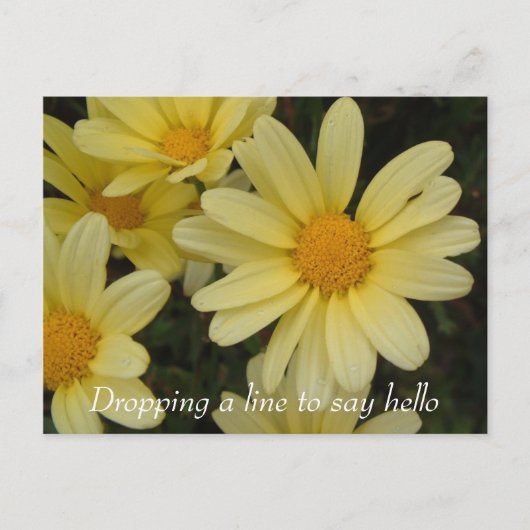 Dropdown a line to say hello postcard postkarte (Vorderseite)