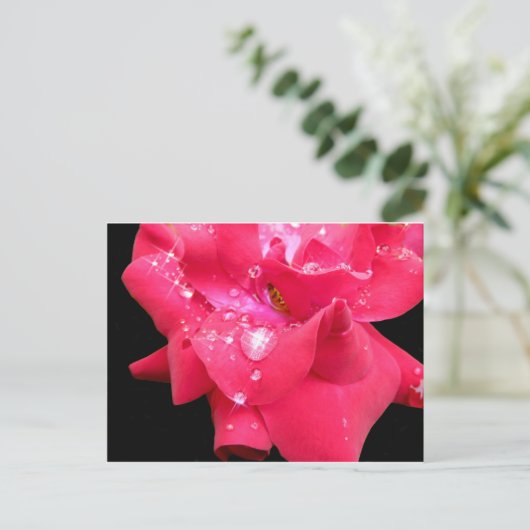 Droplets auf Blättern Postkarte (Stehend Vorderseite)