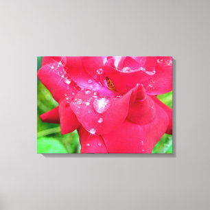Droplets auf Petals Canvas drucken Leinwanddruck