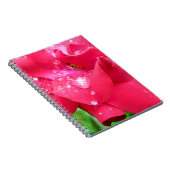 Droplets auf Petals-Foto-Notebook Notizblock (Rechte Seite)