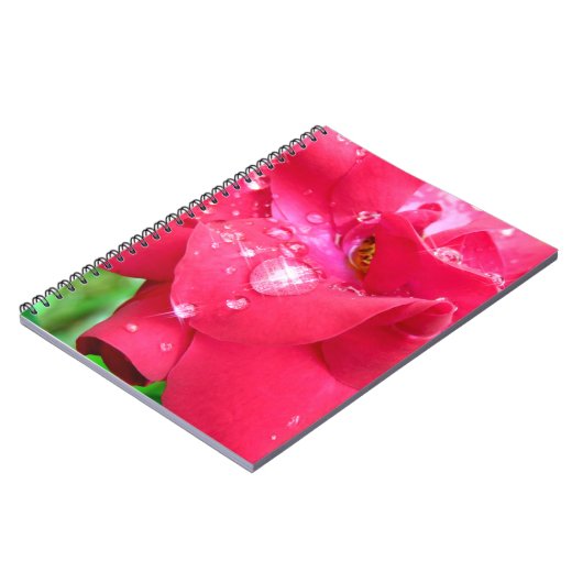 Droplets auf Petals-Foto-Notebook Notizblock (Linke Seite)