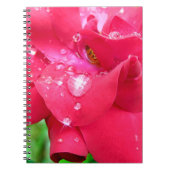 Droplets auf Petals-Foto-Notebook Notizblock (Vorderseite)