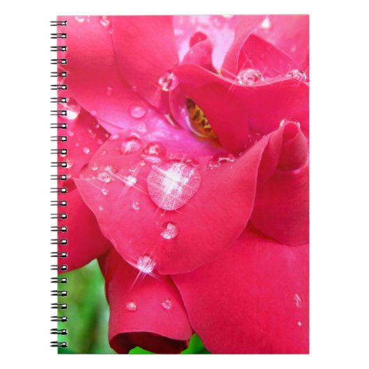 Droplets auf Petals-Foto-Notebook Notizblock (Vorderseite)
