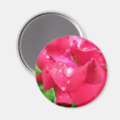 Droplets auf Petals-Kühlschrankmagnet Magnet (Vorderseite/Rückseite)