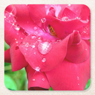 Droplets auf Petals-Untersetzer Rechteckiger Pappuntersetzer