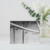 Droplets on Vine Postcard Postkarte (Stehend Vorderseite)