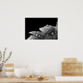 Droplets (schwarz und weiß) poster (Küche)