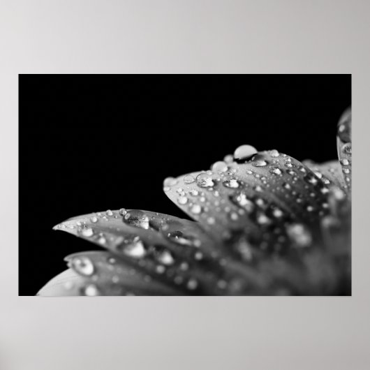 Droplets (schwarz und weiß) poster (Vorne)