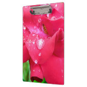 Drops auf Petals-Zwischenablage Klemmbrett (Links)