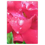 Drops auf Petals-Zwischenablage Klemmbrett (Rückseite)