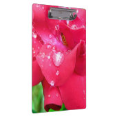 Drops auf Petals-Zwischenablage Klemmbrett (Rechts)