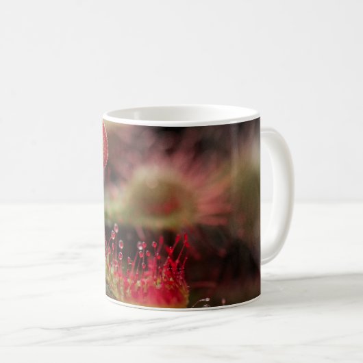 Drosera Capillaris Kaffeetasse (VorderseiteRechts)