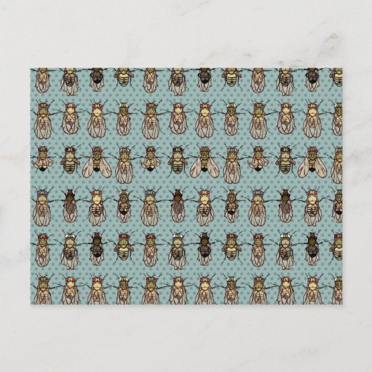 Drosophila-Mutanten Postkarte (Vorderseite)