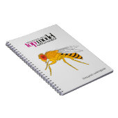Drosophila Spiralheft Notizblock (Rechte Seite)