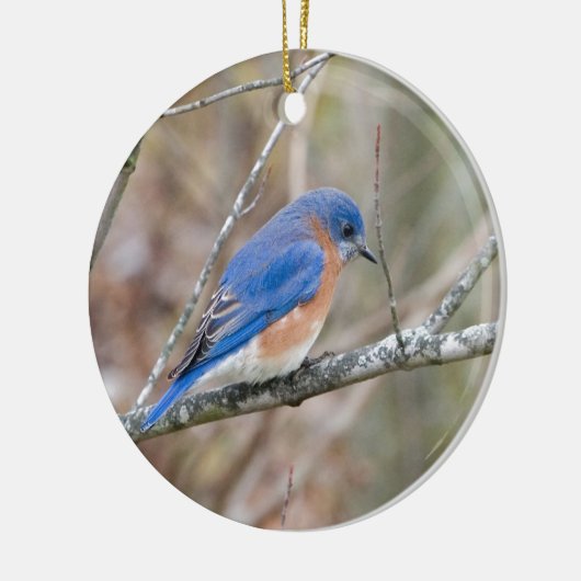 Drossel-blauer Vogel im Baum Keramikornament (Links)