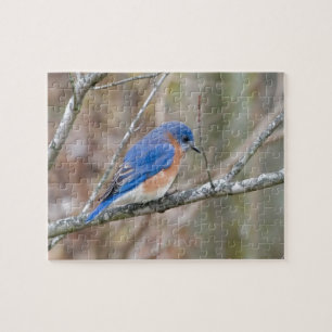 Drossel-blauer Vogel im Baum Puzzle