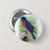 Drossel Button (Vorne & Hinten)