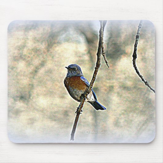 Drossel des Glückes Mousepad (Vorne)
