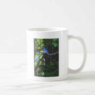Drossel-Foto-Tasse 2 Kaffeetasse