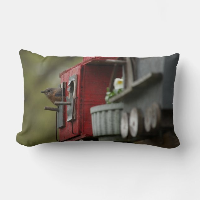 Drossel im Birdhouse-Kissen Lendenkissen (Vorderseite)