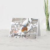 Drossel im Elend Feiertagskarte (Vorderseite)