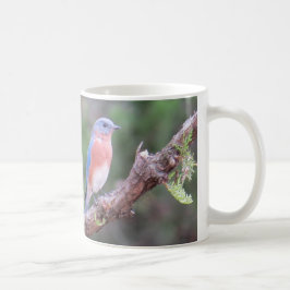 Drossel-Kaffee-Tasse Kaffeetasse