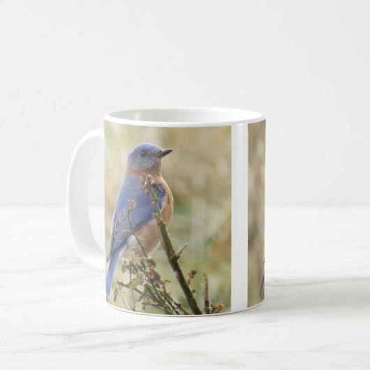 Drossel-Kaffee-Tasse Kaffeetasse (Vorderseite Links)