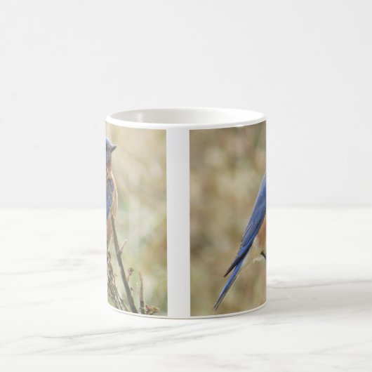 Drossel-Kaffee-Tasse Kaffeetasse (Mittel)