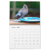 Drossel-Kalender Kalender (Jan 2027)